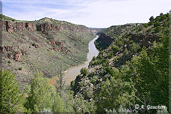 Rio Grande